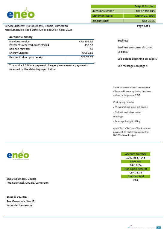 Cameroon ENEO electricity business utility bill template in Word and Pdf formats